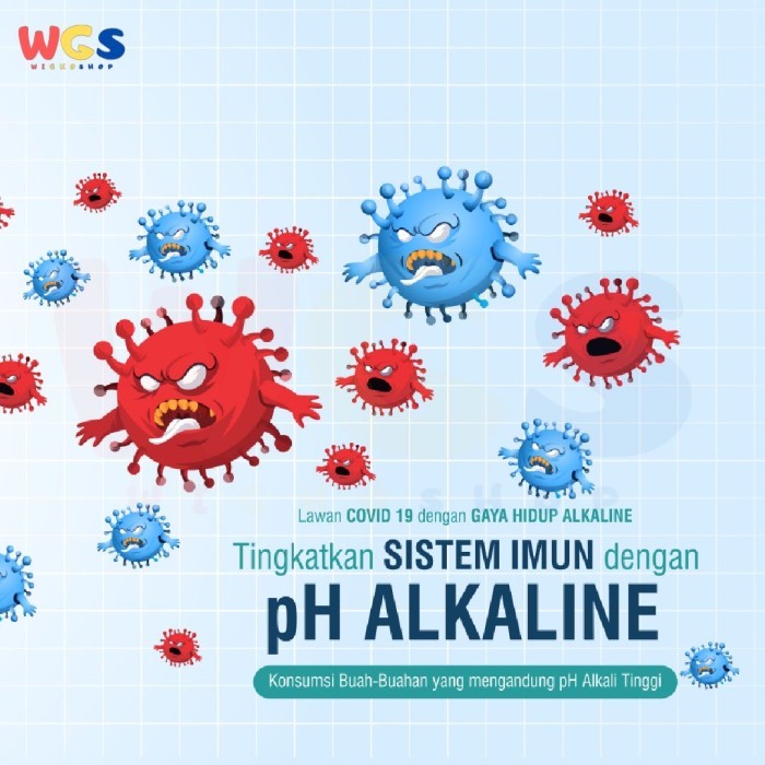 Perfect Alkaline Water pH 9.5 - 24 btl x 300ml