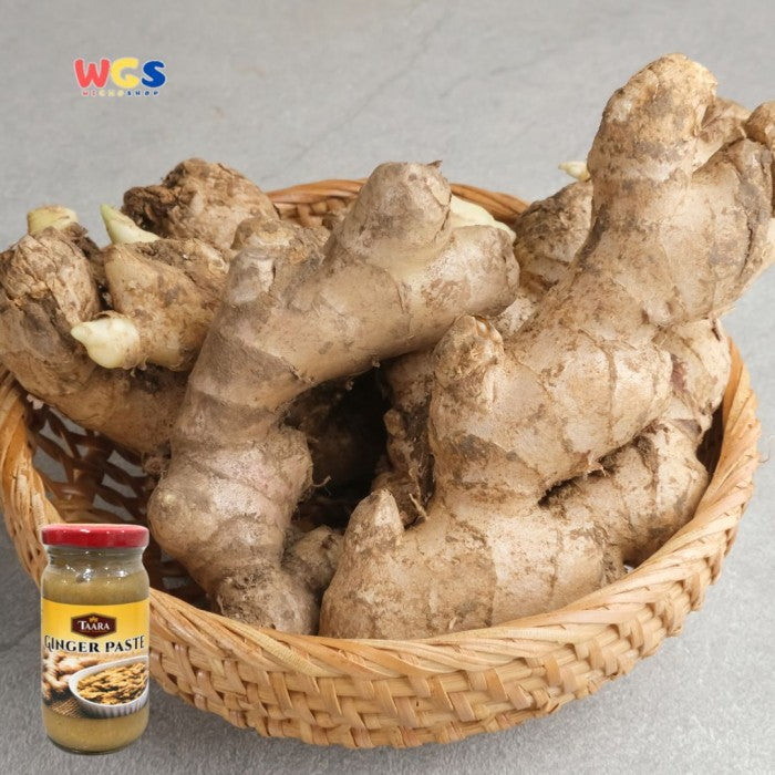 TAARA Indian Seasoning Ginger Paste Sauce 200g - Ginger Sauce