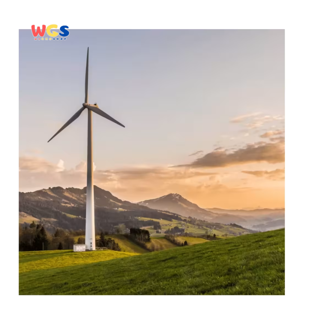 HEINZ Premium Distilled White Vinegar 5% 473ml - Cuka Putih Murni Serbaguna Halal