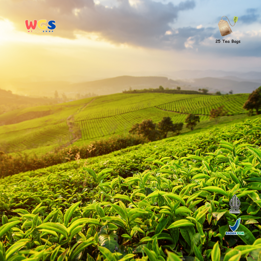 Tea N Tales Morning Tea 25 Tea Bags - 50gr | Light and Aromatic Premium Black Tea