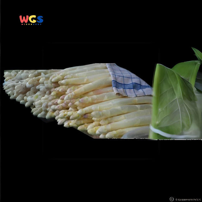Golden Asparagus Cut in Salt Water 430g – Practical, Delicious & Ready-to-Cook Canned Asparagus Cuts