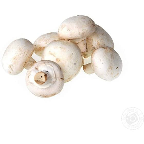 Wilmond Champignons Whole Mushroom in Brine 425 gr - Jamur kancing