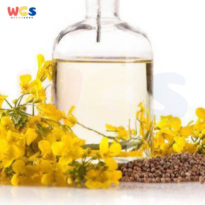 Lily Flower Canola Cooking Oil 5 ltr - Minyak Goreng Kanola