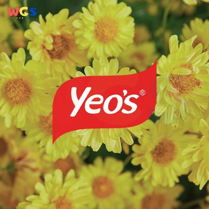 Yeo's Yeos Chrysanthemum Tea Flavored Drink 300ml - Halal