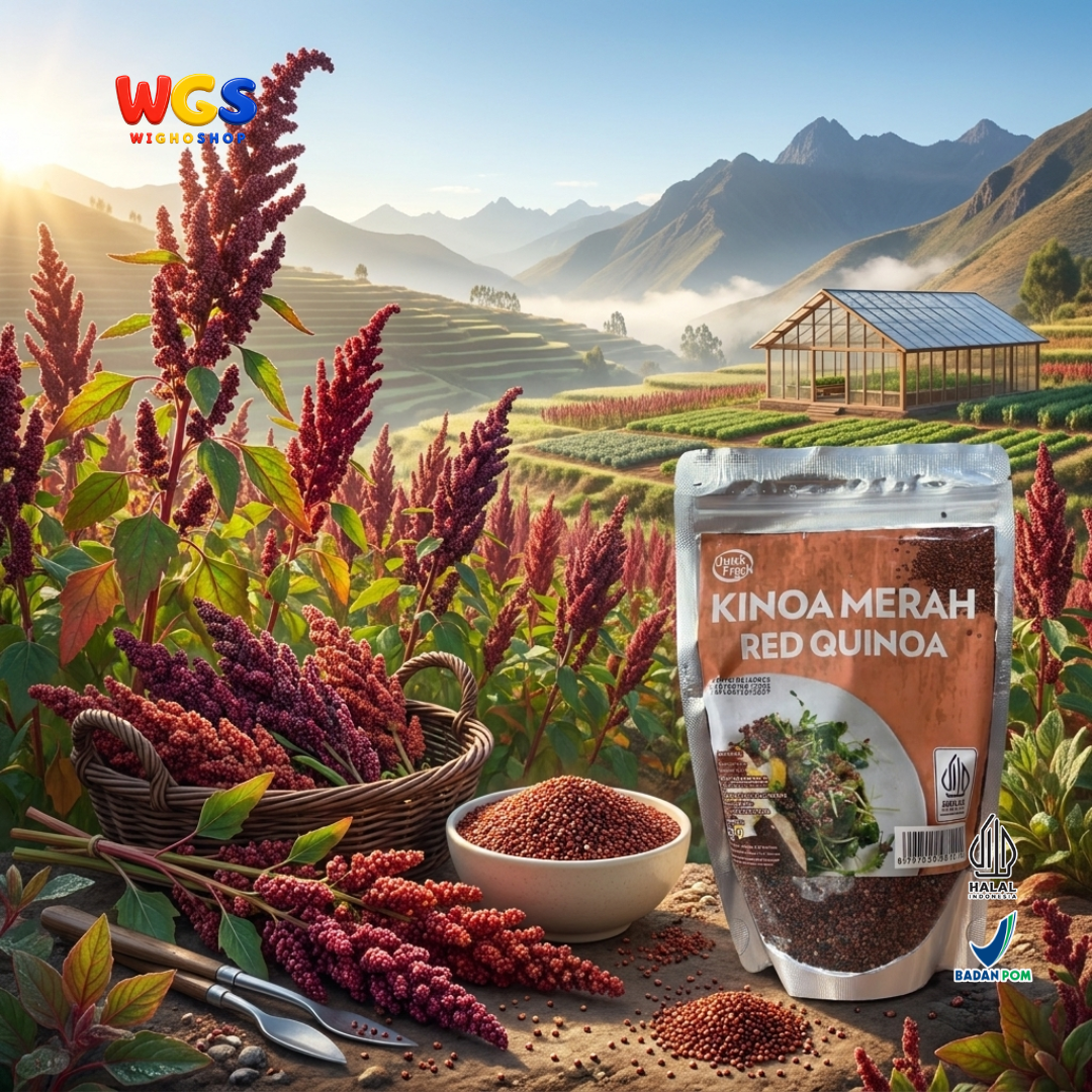 Quick Fresh Kinoa Merah Red Quinoa 250g - Biji Quinoa Peru untuk Salad Grain Bowl Campuran Nasi Meal Prep Halal