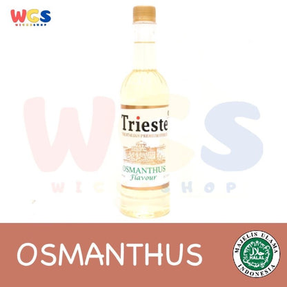 Trieste Syrup Varian Fresh Premium Flavour 650 ml - Rasa Mint